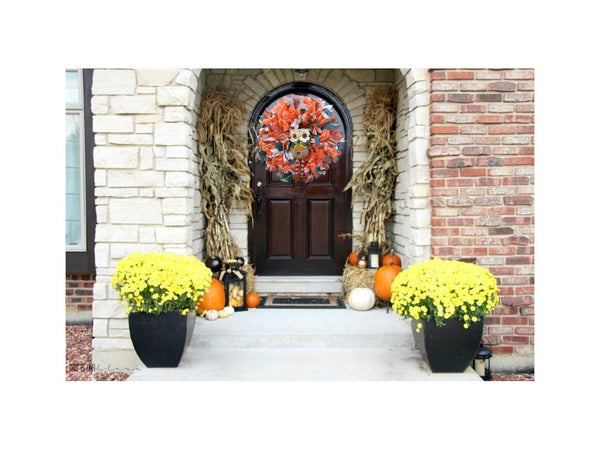 Fall Autumn Orange Mesh with Owl Front Door Wreath